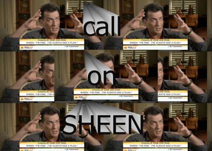 Sheen knows how to party