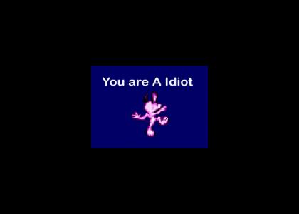 You Are A Idiot