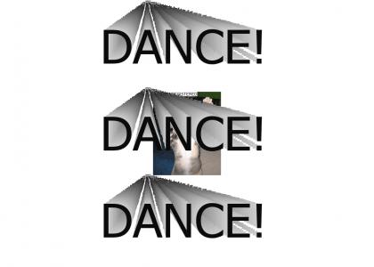 Dancing Techno Cat