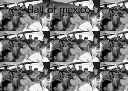 how many mexicans can you fit in a bus?