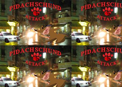 Pidachschund Attack!
