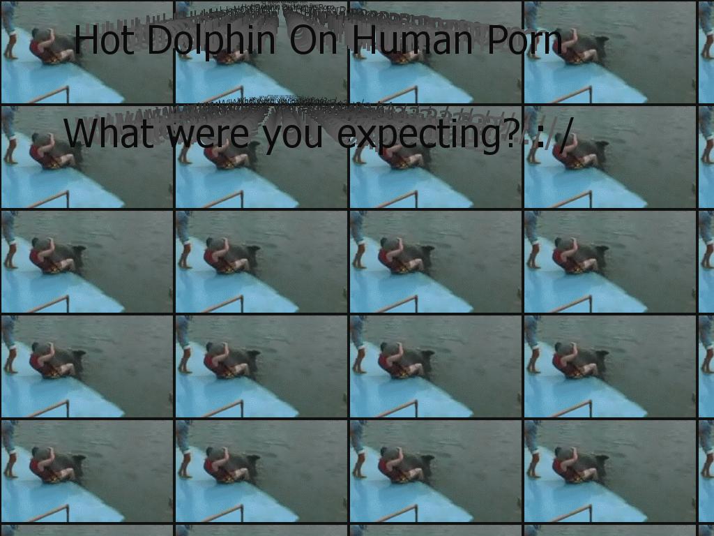dolphinporn