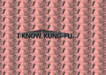 I know Kung-Fu...
