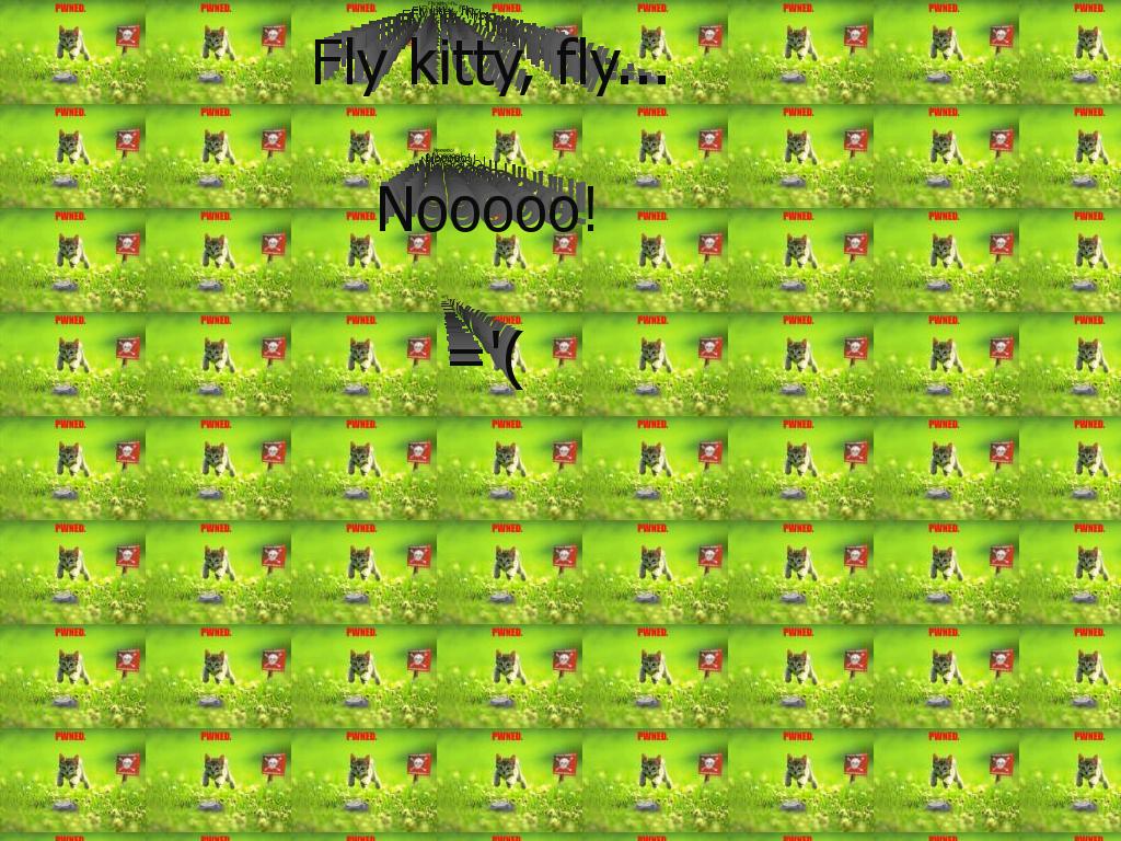 nookitty