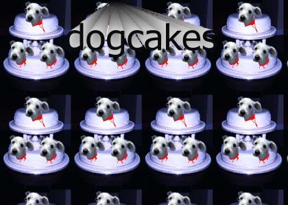 Dog Cakes