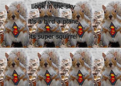 Super squirrel