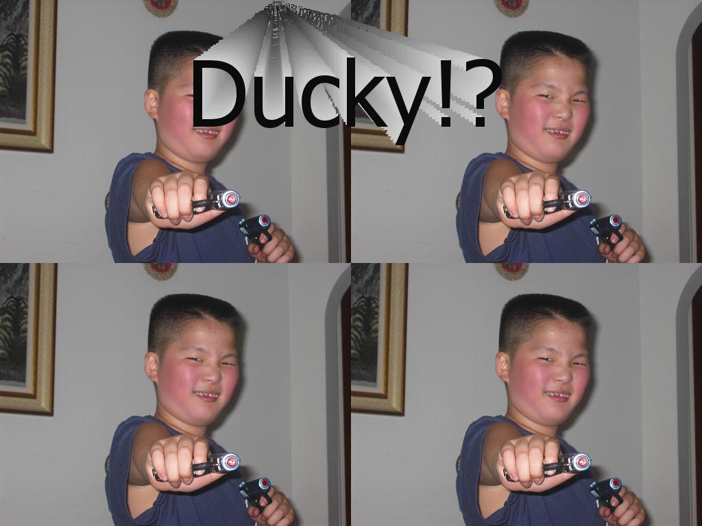 duckingdualies