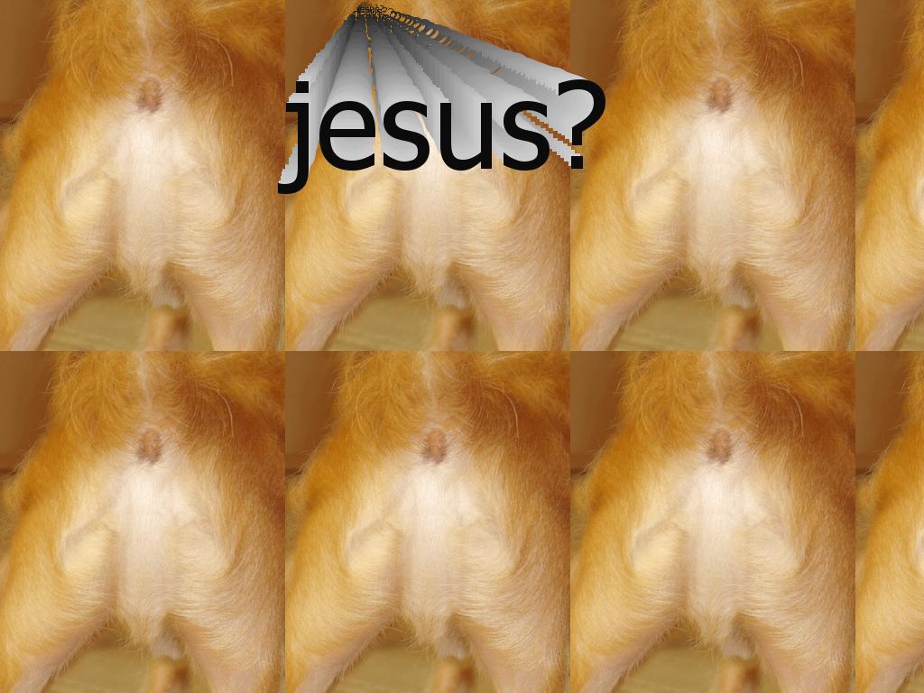 dogassholejesus