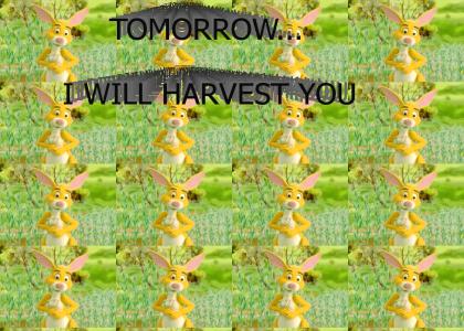 Tomorrow I Will Harvest You