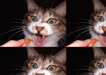 Eat kitty! EAT!!