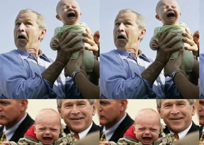 Babys Hate bush