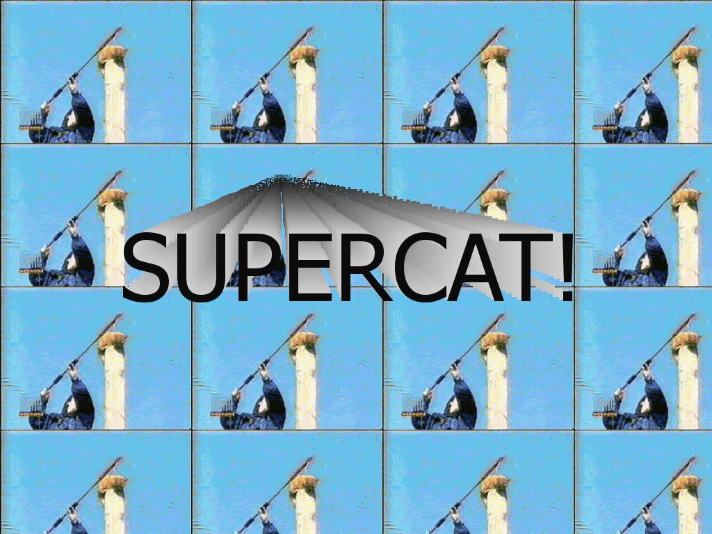 thesupercat