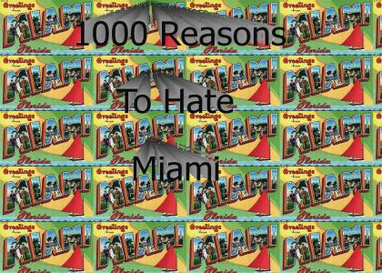 1000 Reasons To Hate Miami