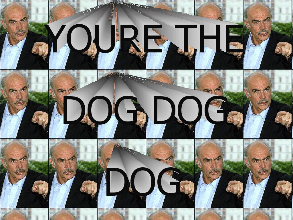 yourethedogdogdog