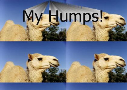 My hump! lol