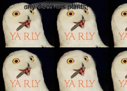 orly discovers plants!