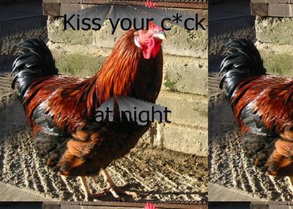 Kiss your c*ck at night (SFW)