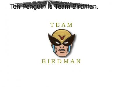 Introducing Team Birdman!