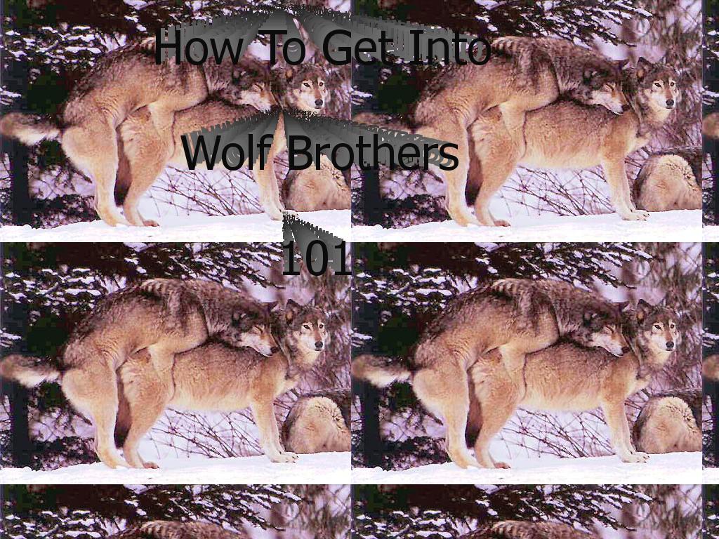 wolfbrother