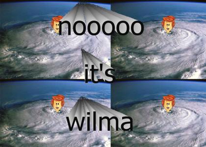 wilma strikes again