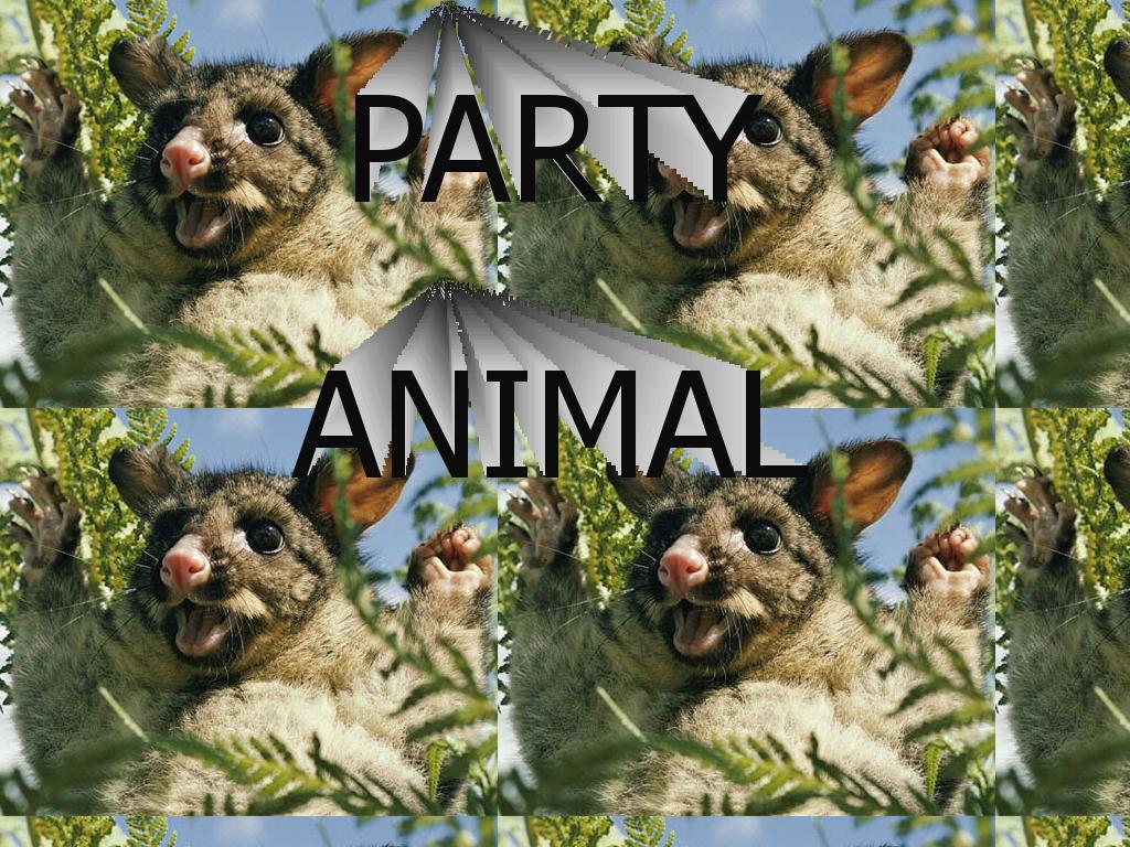 partyanimal