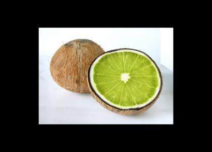 you put the lime in the coconut