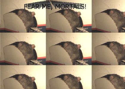 Fear the Rat!