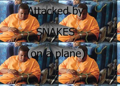 Attacked by Snakes (on a plane)