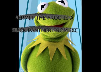 KERMIT THE FROG IS A BLACK PANTHER FROM D.C.