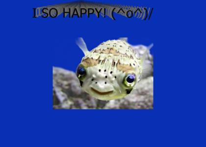 Fantasticly Happy Fish