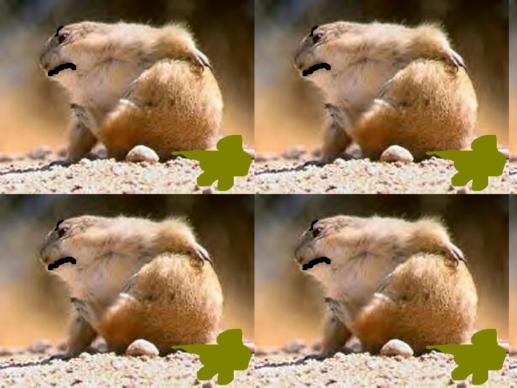 Prairiedogwithgas