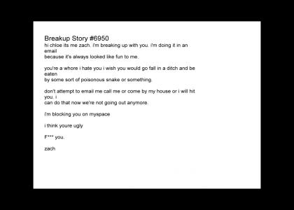 Breakup Letter #6950