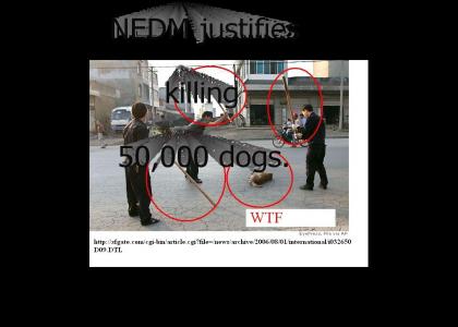 NEDM, China Dog Cruelty Edition