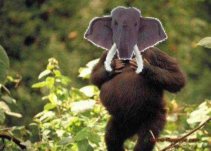 Gorillaphant!!