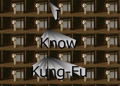 I Know Kung-Fu