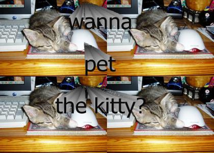 wanna pet the kitty