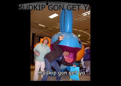 mudkip gon get ya