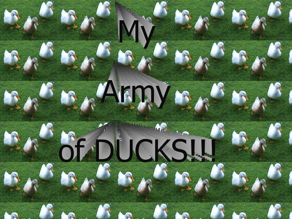 myarmyofducks