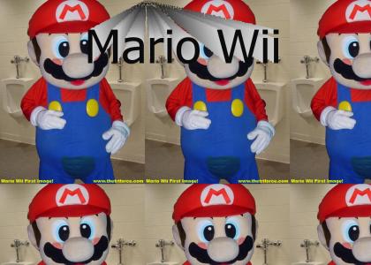 First Screenshots of Mario Wii!!!!