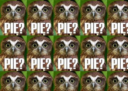 RewardTMND: Owl Pie.