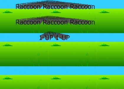 Raccoon Raccoon Raccoon Raccoon Raccoon Raccoon Raccoon Raccoon Raccoon Raccoon Raccoon Raccoon 1-UP 1-UP
