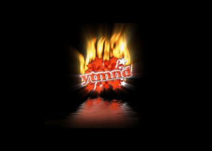 ytmnd_forever_burning