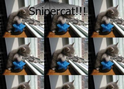 Snipercat