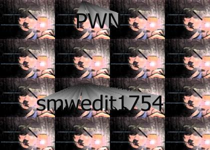 DOMAIN GRAB smwedit1754