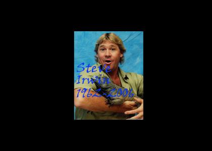 Steve Irwin Tribute