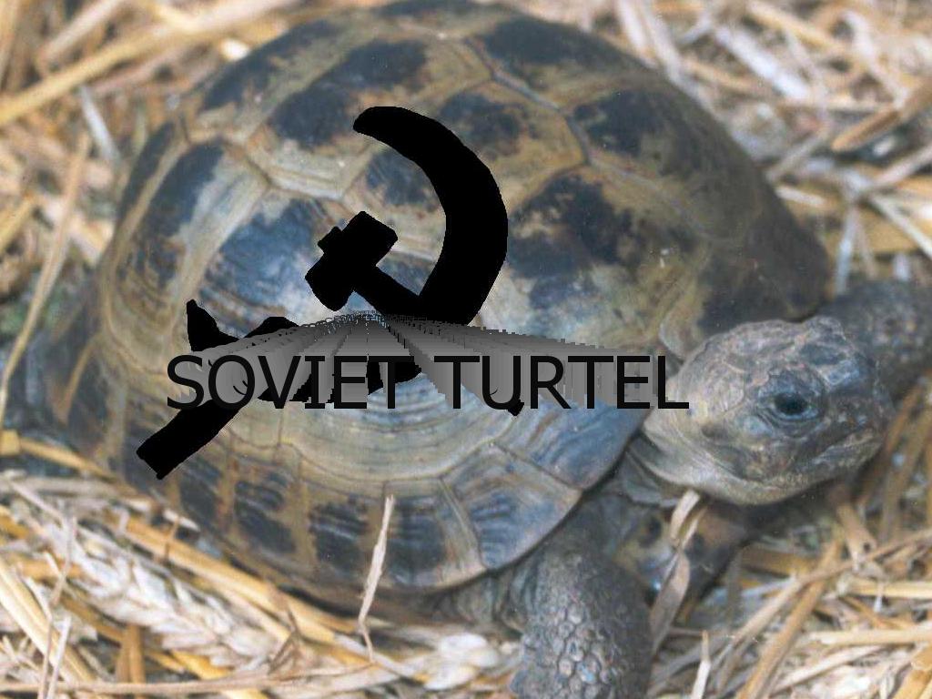 soveitturtel