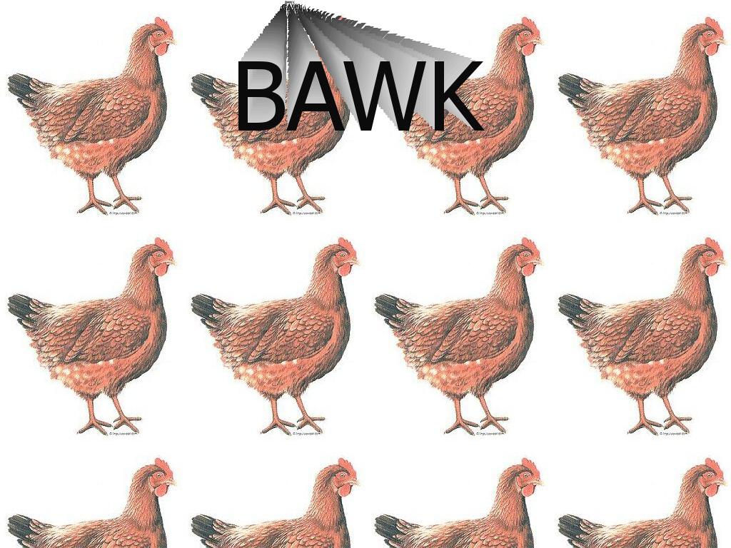 bawkbawk