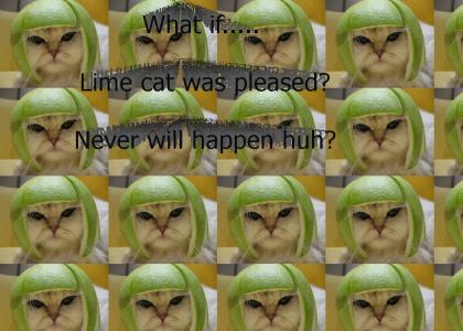 What if Lime Cat was pleased