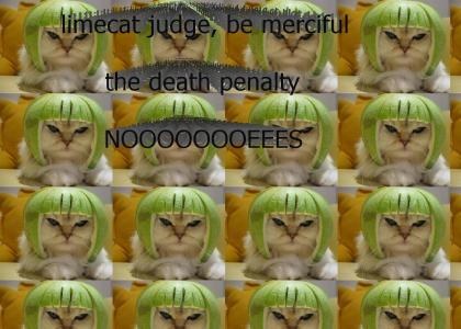 limecat passes judgement