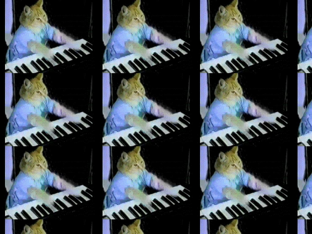 keyboardcat